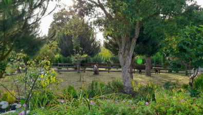 Chale dos Sobreiros - Foto 2, Garden