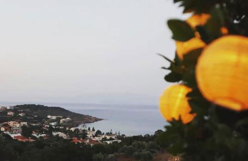 Lemon & Lavender - Photo 25