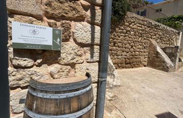 Domaine RABOLY - Beaumes de Venise - Foto 73