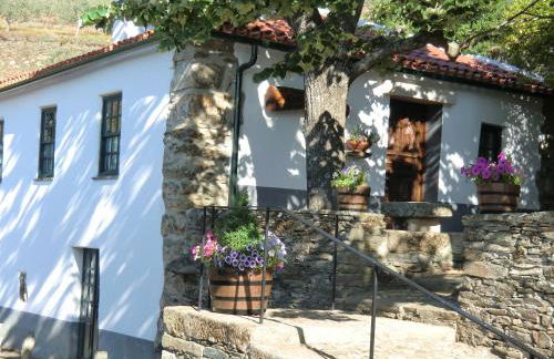 Quinta das Aveleiras - Foto 23