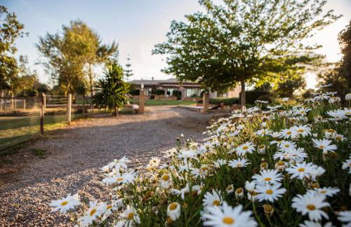 Agroturismo Can Pere Rei - Foto 26