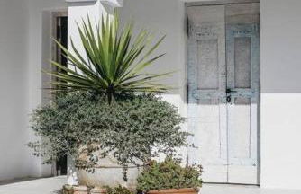 Cortijo Almarchal - Foto 48