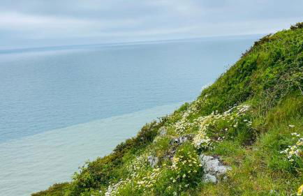 Gordy Hall -Sea facing Welsh cottage with stunning views - Photo 25