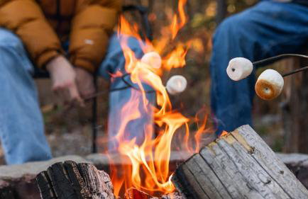 Laid Back Cabin 7 Mn to Glacier, Private Fire Pit - Foto 4