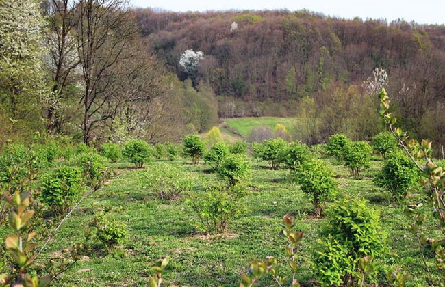 Delightful Holiday Home in Havidić Selo with Garden - Foto 40