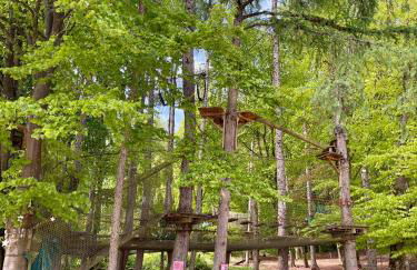 Allegra Appartements, Region Bostalsee - Foto 39