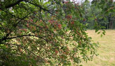 La Parenthèse gîte à la campagne - Foto 2