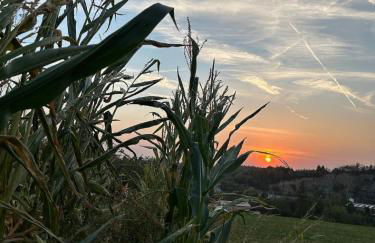 Ferienbauernhof Rosenberger - Foto 31