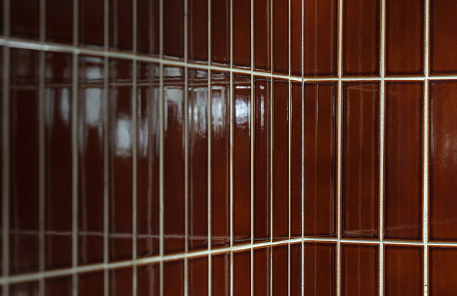 illi Tex Aoyama - Photo 11