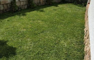 La lechuza blanca - Foto 17