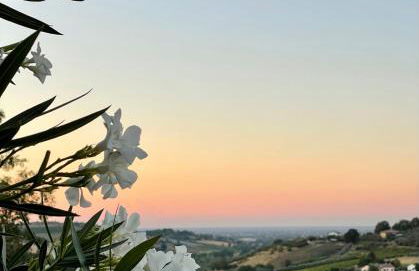 Villa Venti - Craft Wine & Hospitality - Foto 57