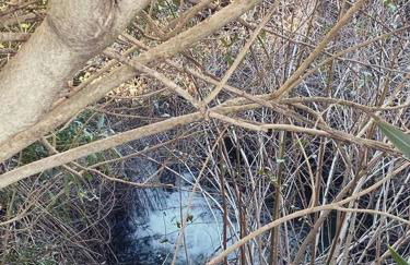 Maison de campagne dans un domaine viticole - Photo 10