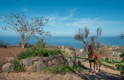 Holiday Home Finca Sunny Scape Rural by Interhome - Foto 15