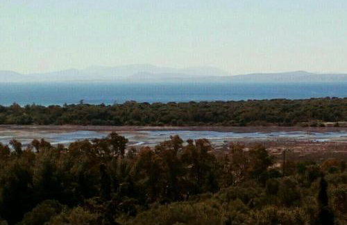 Belle Hélène - Foto 48