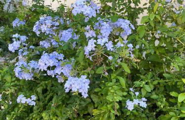 Villa Domus Dea Mondello - Foto 52