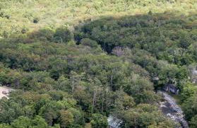 TuckAway Suites at East Branch - Photo 116