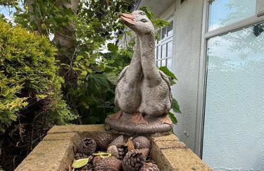 Benarth Lodge uniquely situated hideaway in Conwy - Foto 40