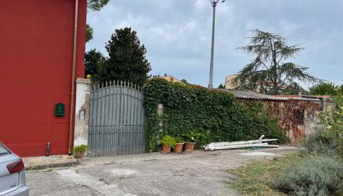 Il Piccolino - Foto 5