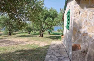 Robinson house Sea & olives - Photo 1