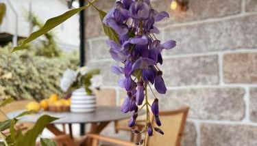 Souto Guimarães Country House - Foto 3