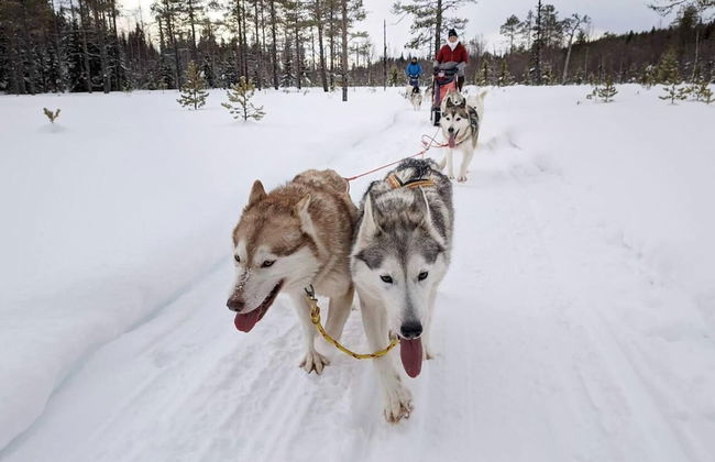 Cozy Stuga With Mountain & Northern Lights View - Photo 8