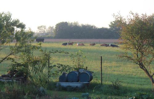 Ferienwohnung Feldblick - Foto 48