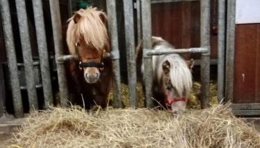 Ferienwohnung Art Land - Foto 3