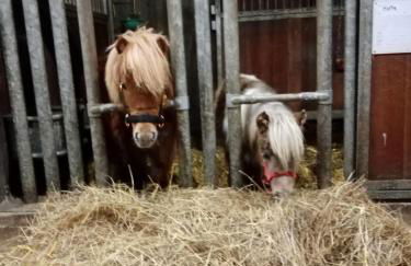 Ferienwohnung Art Land - Foto 3