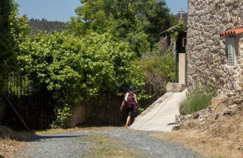 Landras de Compostela - Photo 30