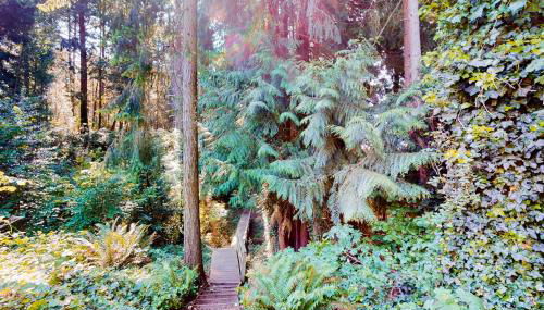 Calamity Cabin - Foto 3