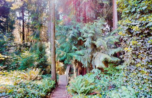 Calamity Cabin - Foto 3