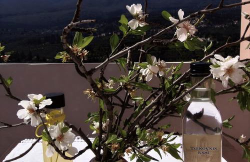 5-bedroom Country House in Crete - Olive Grove Retreat - Foto 21