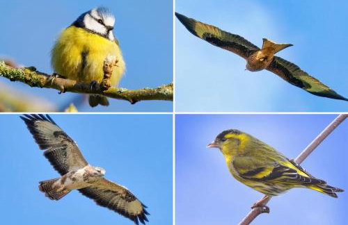 2 Bed in Chepstow oc-95046 - Photo 37