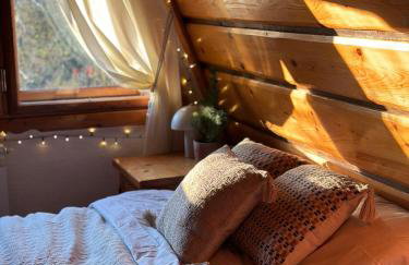 BUKOWA Jezioro Żywieckie Beskid Żywiecki Śląski Sauna Jacuzzi Kominek Morsowanie Tresna Żywiec Szczyrk - Foto 36