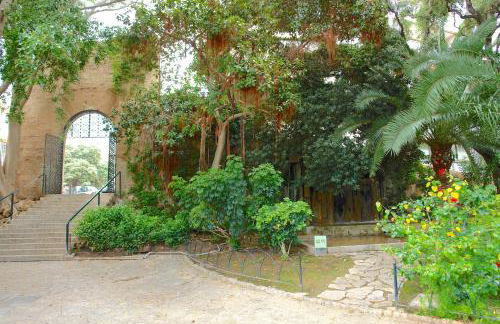 Ca'n Perlita - Foto 35