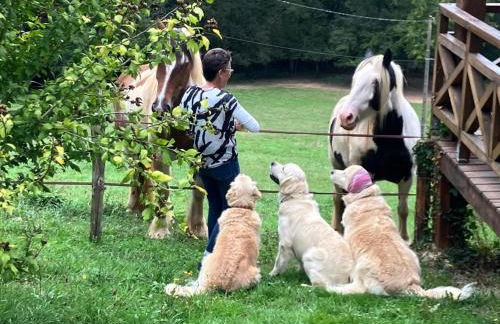 Mas dAmour - Foto 25