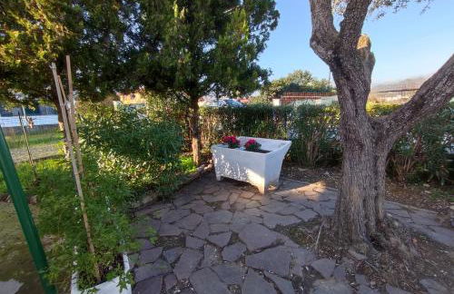 House Viareggio - Foto 42