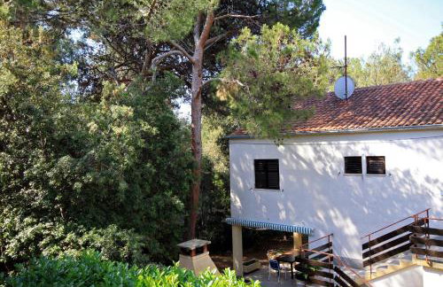 Apartments by the sea Artatore, Losinj - 2509 - Foto 39