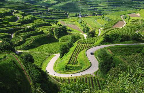 Müller s Ferienhäusle UG - Foto 7