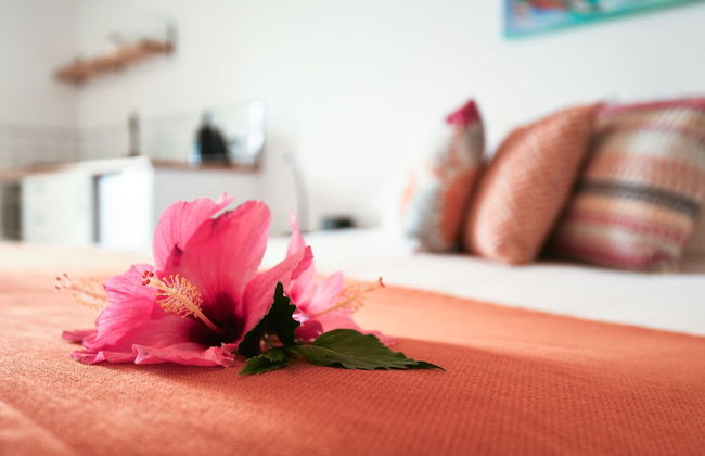 Polynesian Norfolk Island - Foto 3