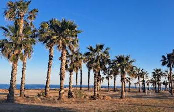 Apartamento Chilches Vistas al mar - Foto 27