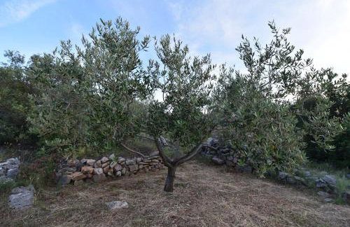 Apartmani Marko - Foto 76