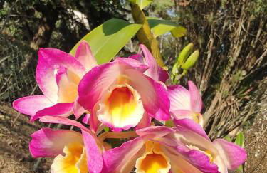 Chalé Serrano - Foto 29