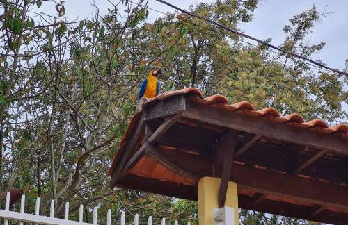 Chácara com Beach Tennis em Joaquim Egídio - Campinas SP - Foto 14