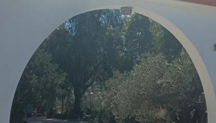 Villa Oasis - Foto 3