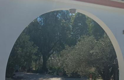 Villa Oasis - Foto 3