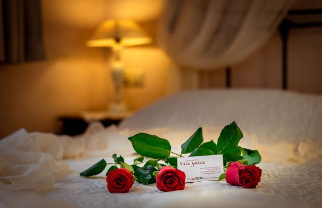 Villa Amalia - Foto 17