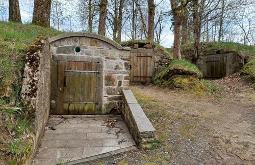 Schones Ferienhaus mit Grossem Garten bei Stadlern - Foto 60