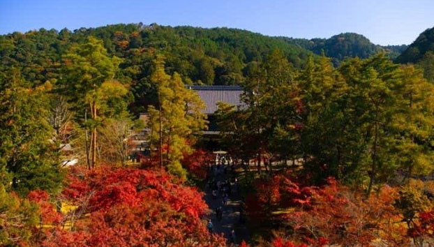 Visita guiada por Kioto - Photo 2