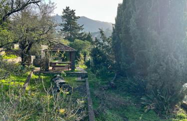 Casa La Veguetilla en San Mateo - Foto 20